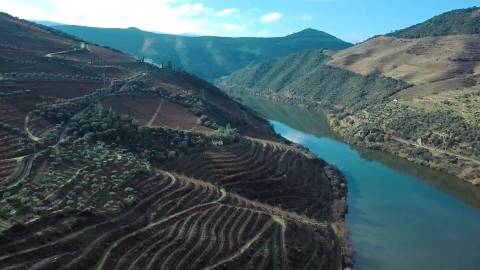 Quinta Exclusiva em Ervedosa do Douro: Margem Privilegiada no Rio Douro, Vinhas de Qualidade e Casa com Potencial de Recuperação