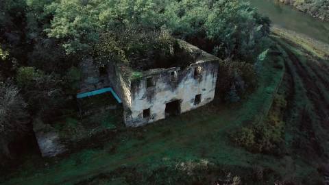 Quinta Exclusiva em Ervedosa do Douro: Margem Privilegiada no Rio Douro, Vinhas de Qualidade e Casa com Potencial de Recuperação