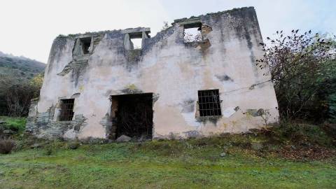 Quinta Exclusiva em Ervedosa do Douro: Margem Privilegiada no Rio Douro, Vinhas de Qualidade e Casa com Potencial de Recuperação