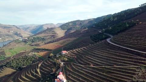 Exclusividade no Douro Vinhateiro: Quinta Magnífica com Vinhas Prestigiosas e Vistas Deslumbrantes