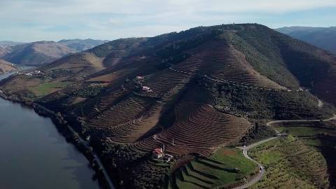 Exclusividade no Douro Vinhateiro: Quinta Magnífica com Vinhas Prestigiosas e Vistas Deslumbrantes