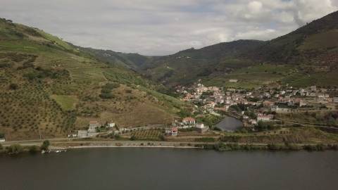 Quinta Exclusiva no Douro Vinhateiro: Vinhas de Prestígio, Edifícios Imponentes e Potencial para Turismo Vinícola