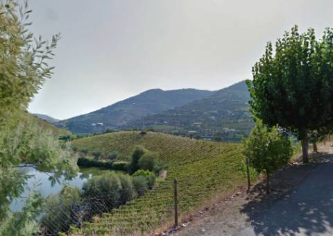 Quinta Exclusiva no Douro Vinhateiro: Vinhas de Prestígio, Edifícios Imponentes e Potencial para Turismo Vinícola