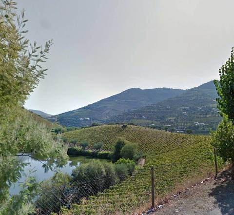 Quinta Exclusiva no Douro Vinhateiro: Vinhas de Prestígio, Edifícios Imponentes e Potencial para Turismo Vinícola