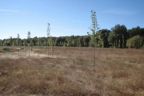 Quinta Cova da Beira