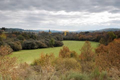 Quinta Cova da Beira