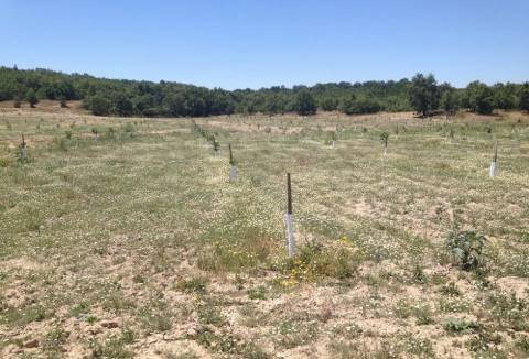 Quinta Cova da Beira