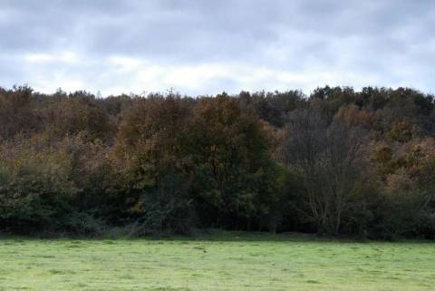 Quinta Cova da Beira