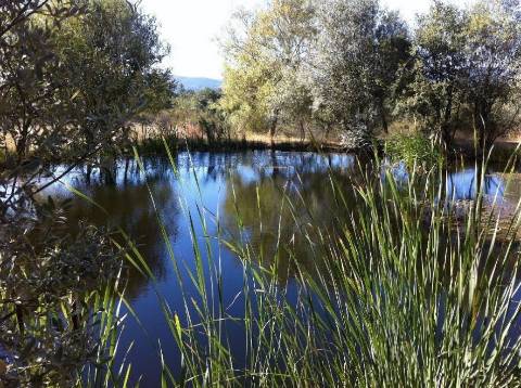 Quinta Cova da Beira