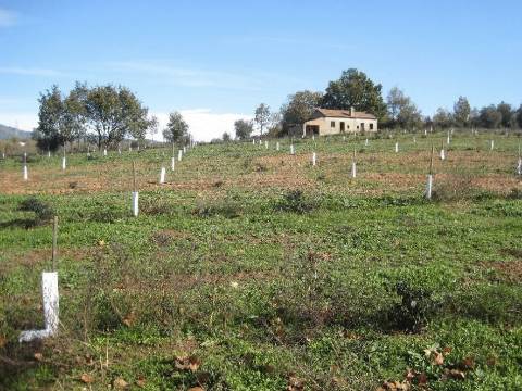 Quinta Cova da Beira