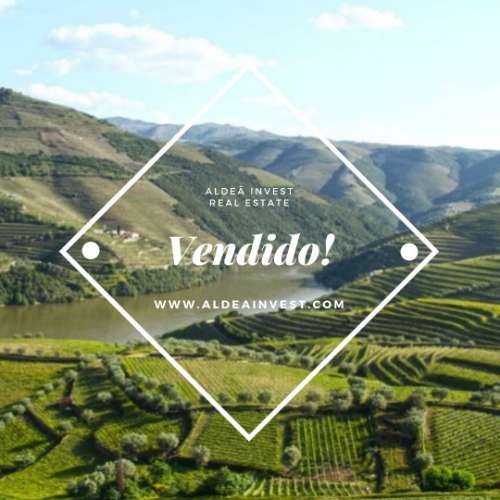 Qta. Margem direita rio Douro