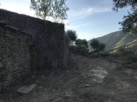 Terreno com vista para o rio Douro