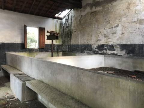 Terreno com vista para o rio Douro