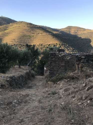 Terreno com vista para o rio Douro