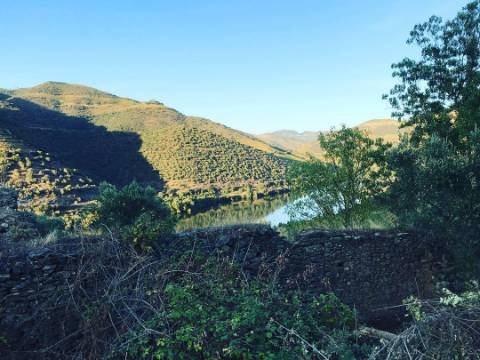 Terreno com vista para o rio Douro