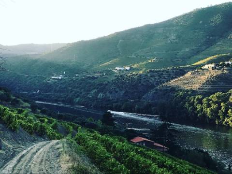 Terreno com vista para o rio Douro