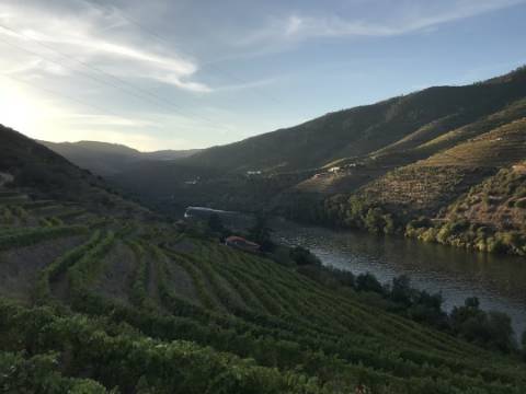 Terreno com vista para o rio Douro