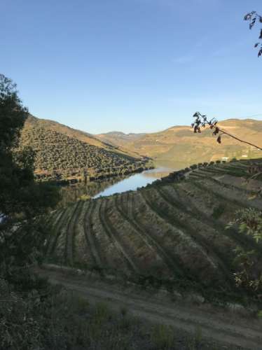 Terreno com vista para o rio Douro