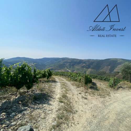 Quinta Douro Vinhateiro