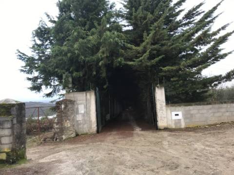 Oportunidade Única: Quinta com 30ha, Casa por Recuperar e Exploração Cinegética com Vista para o Douro Vinhateiro