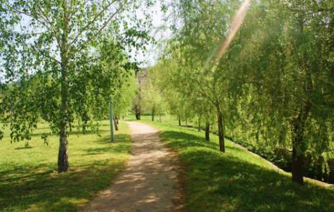 Terreno Parque da Cidade de Penafiel