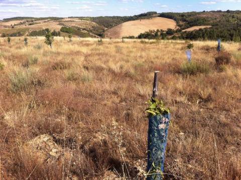 Quinta Rio - Bragança