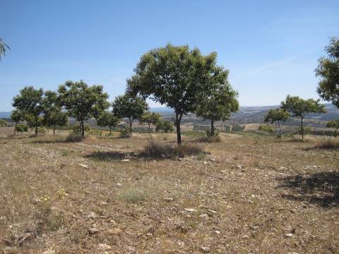 Quinta Rio - Bragança