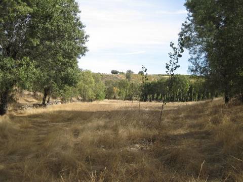 Quinta Rio - Bragança