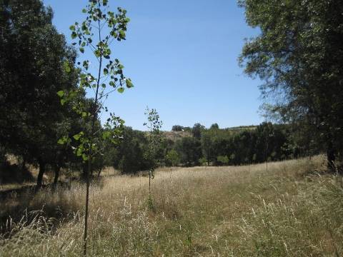 Quinta Rio - Bragança