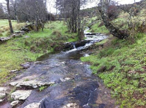 Quinta Rio - Bragança