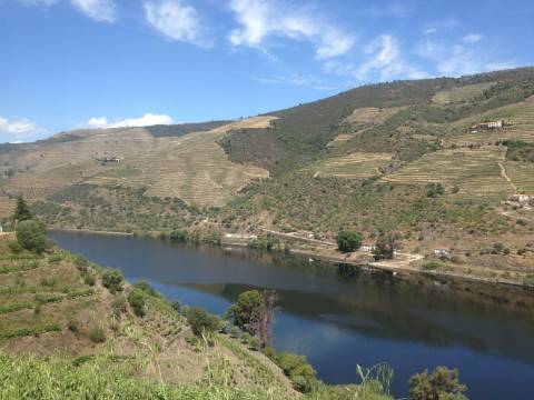 Terreno Douro