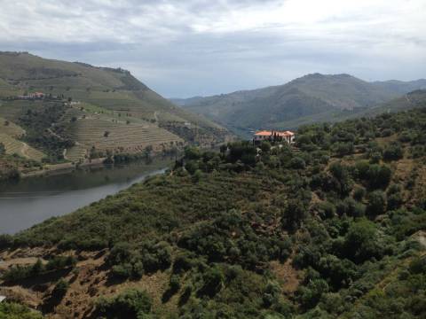 Terreno Douro