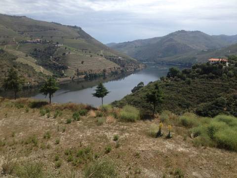 Terreno Douro