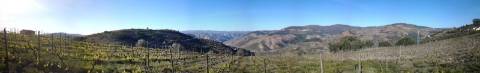 Quinta/Vinha Douro