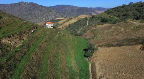 Quinta no Douro