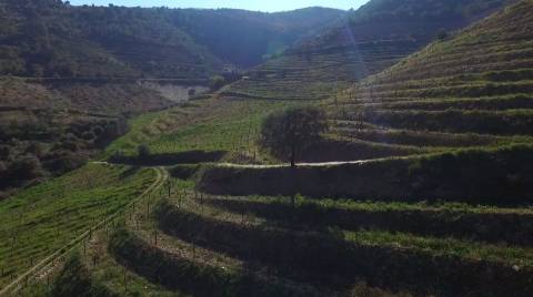 Quinta no Douro