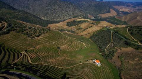 Quinta no Douro