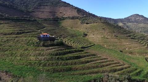 Quinta no Douro
