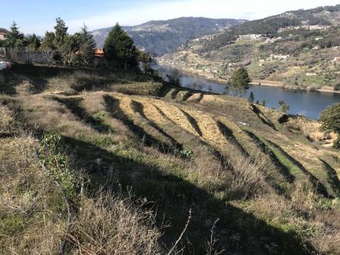 Terreno com vista de rio Douro