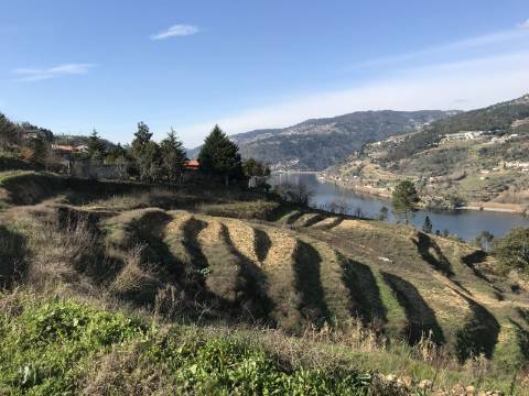 Terreno com vista de rio Douro