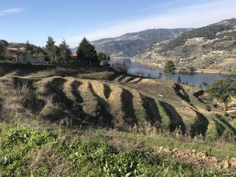 Terreno com vista de rio Douro