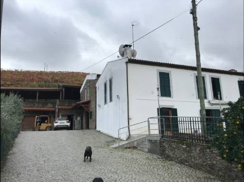 Propriedade Excepcional no Douro Vinhateiro: Vinha de Excelência e Infraestrutura Completa