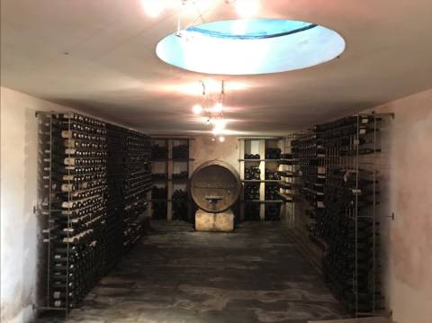 Propriedade Excepcional no Douro Vinhateiro: Vinha de Excelência e Infraestrutura Completa