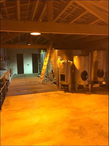 Propriedade Excepcional no Douro Vinhateiro: Vinha de Excelência e Infraestrutura Completa