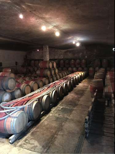 Propriedade Excepcional no Douro Vinhateiro: Vinha de Excelência e Infraestrutura Completa