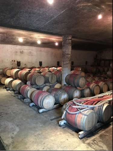 Propriedade Excepcional no Douro Vinhateiro: Vinha de Excelência e Infraestrutura Completa