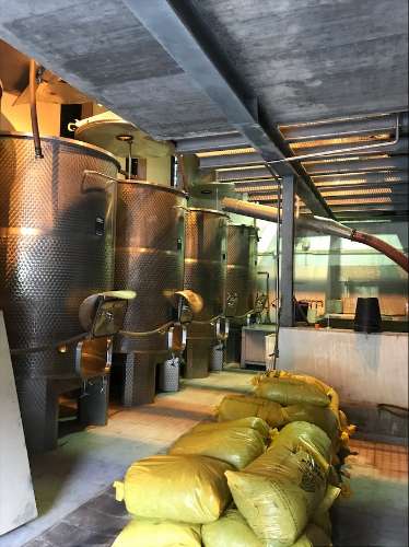 Propriedade Excepcional no Douro Vinhateiro: Vinha de Excelência e Infraestrutura Completa