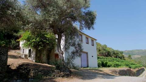 Quinta margem de rio Douro