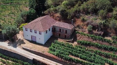 Quinta margem de rio Douro