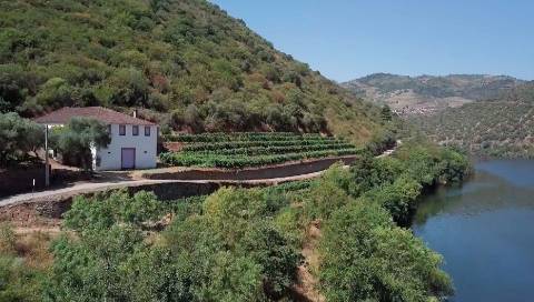 Quinta margem de rio Douro